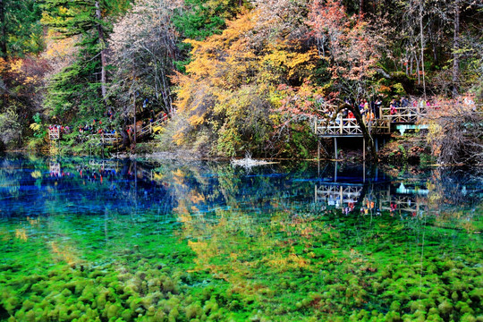 九寨沟 秋天