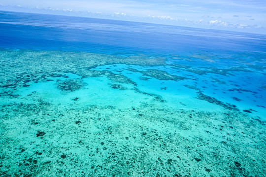 海洋浅海珊瑚礁