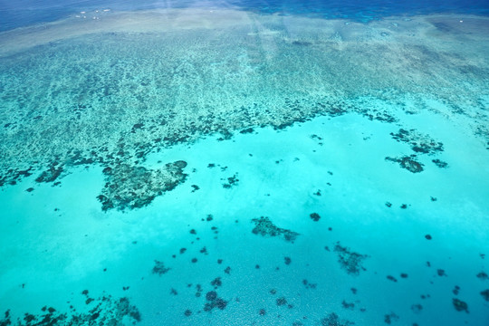 海洋浅海珊瑚礁