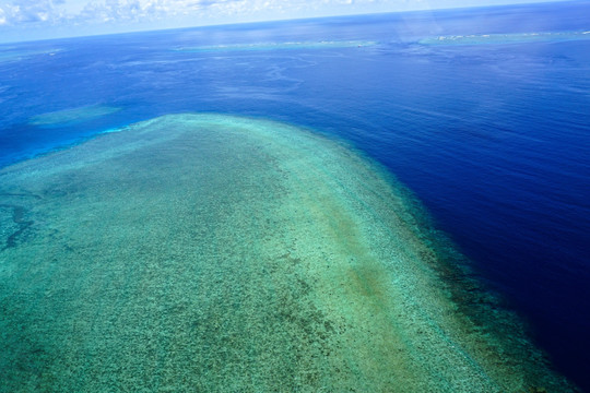 海洋浅海珊瑚礁