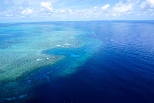 海洋浅海珊瑚礁