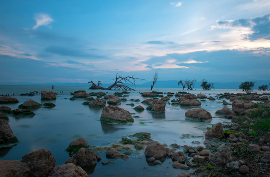 湿地风光