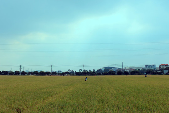 田园风光