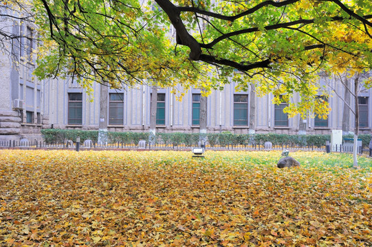 山东大学