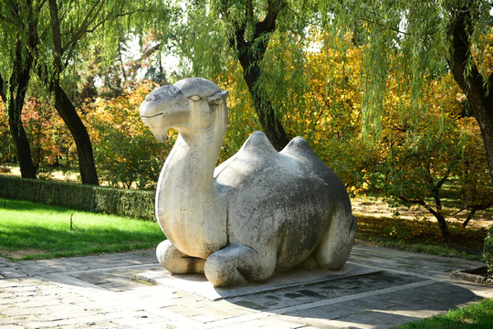 骆驼雕像