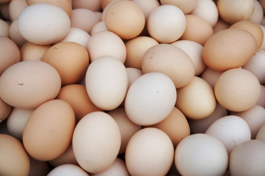 鸡蛋鲜蛋