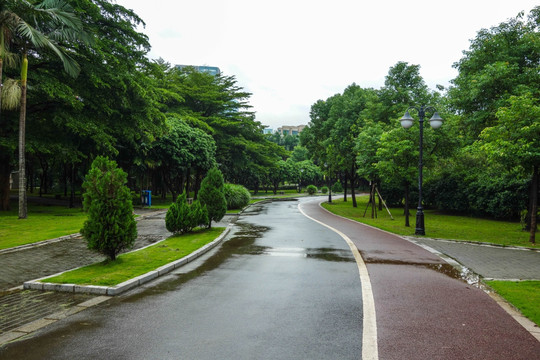 深圳中心公园