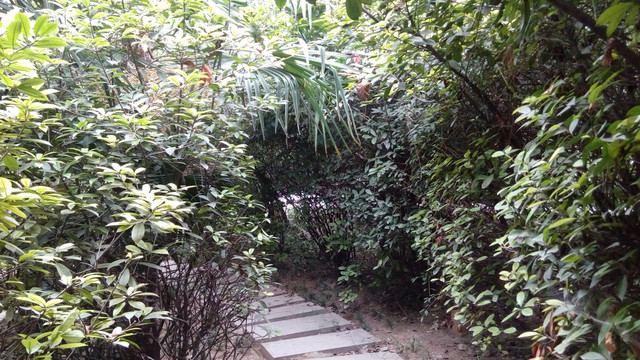 西安革命公园