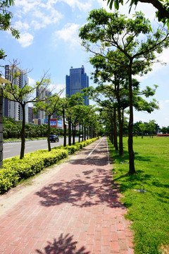 城市绿化树木