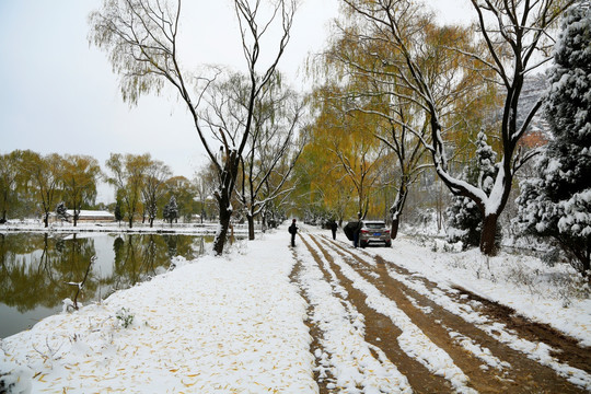 雪景