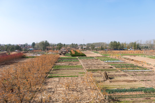 田野土地