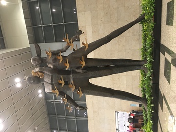 新加坡樟宜机场雕塑