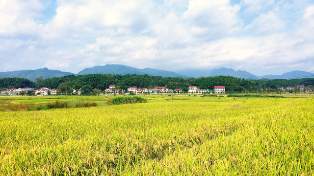 乡村风光