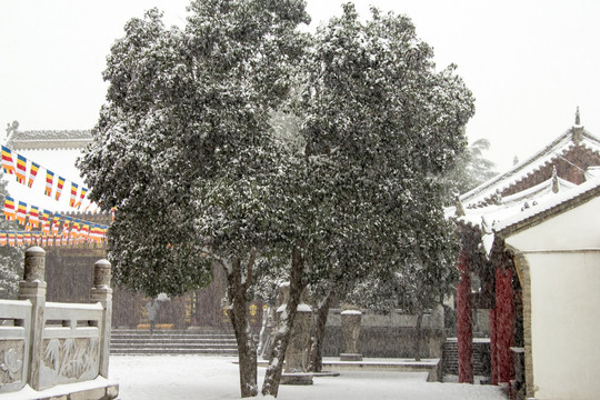 香积寺初雪