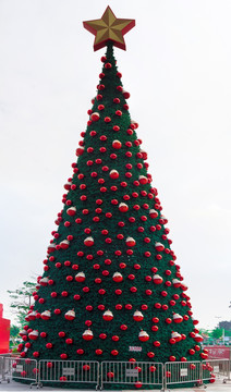 户外大型圣诞树