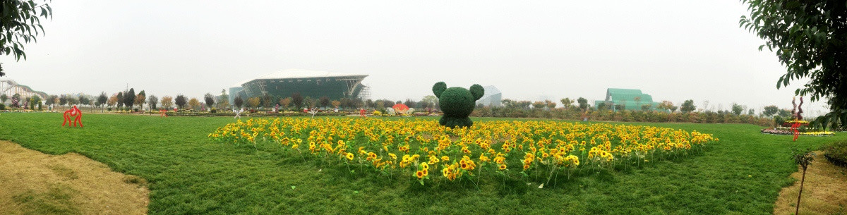 菊花公园 高清 全景 大图