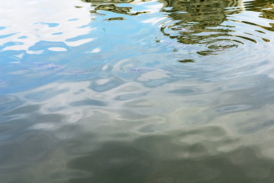 圆点水波纹水面