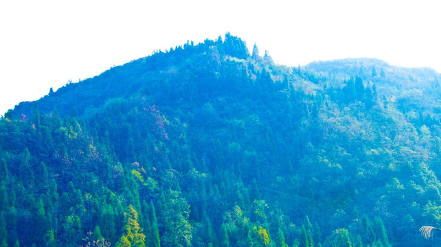 山林 山峰
