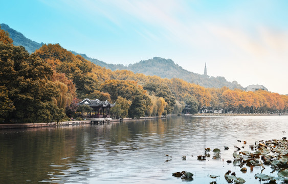 西湖秋景