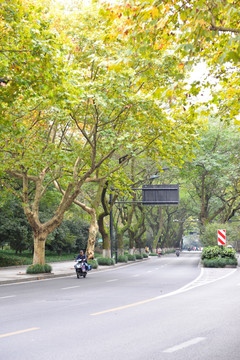 杭州街道