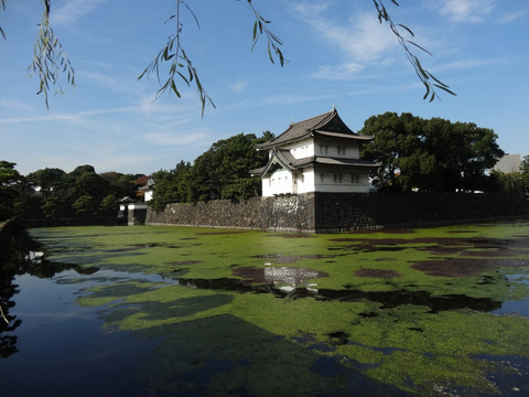 皇宫