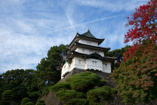 富士见橹