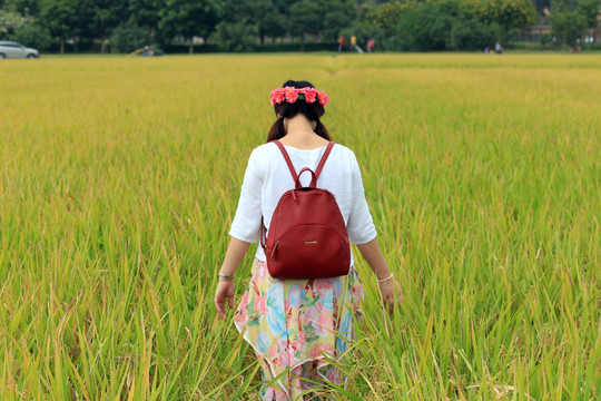 田园的女孩
