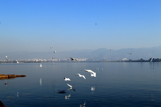西昌邛海公园
