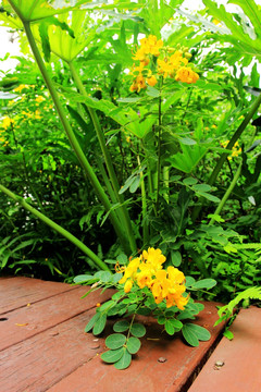 花