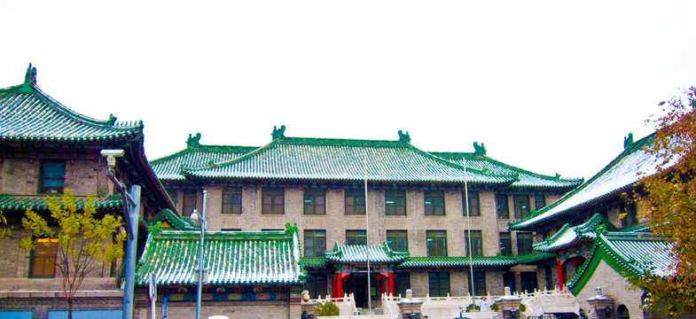飞檐 白雪