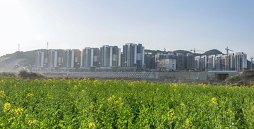 岑巩美丽新农村生态移民房