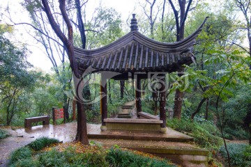 府山公园