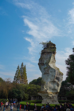 柯岩