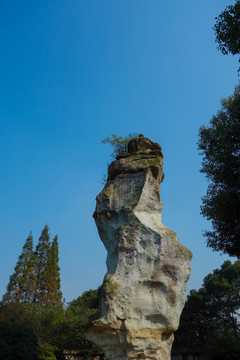 柯岩