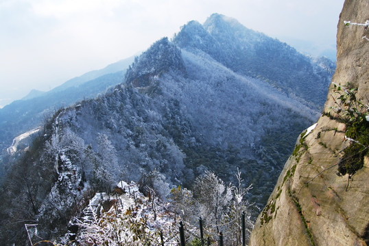 茶山竹海