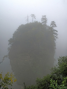 湖南张家界袁家界景区 雾中石峰