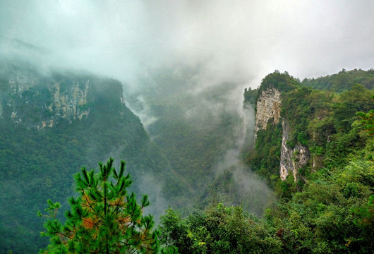 湖南张家界大峡谷 全景