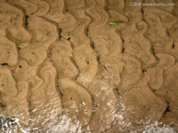 清澈溪流 细沙溪水 背景素材