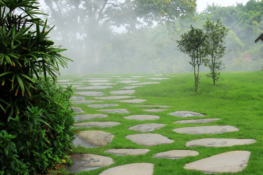 园林草地石板路