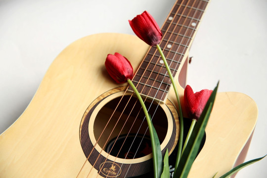吉它与花