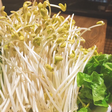 黄豆芽特写