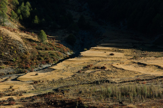 四川 稻城 高原风光