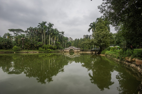 植物园