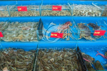 海鲜池