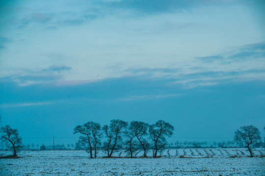 雪景