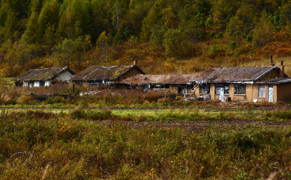 大山里的人家