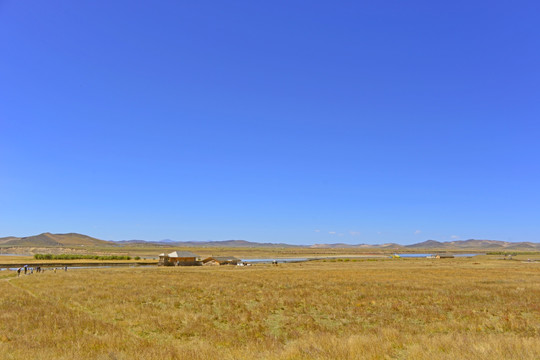 阿坝唐克草原 黄河河洲草原风光