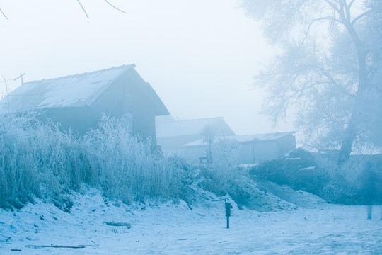 白雪