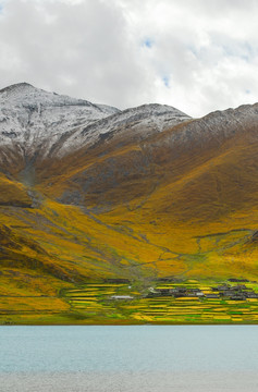 西藏高山 西藏雪山 西藏风光