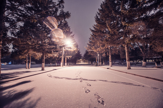 东北大学 大雪 夜景